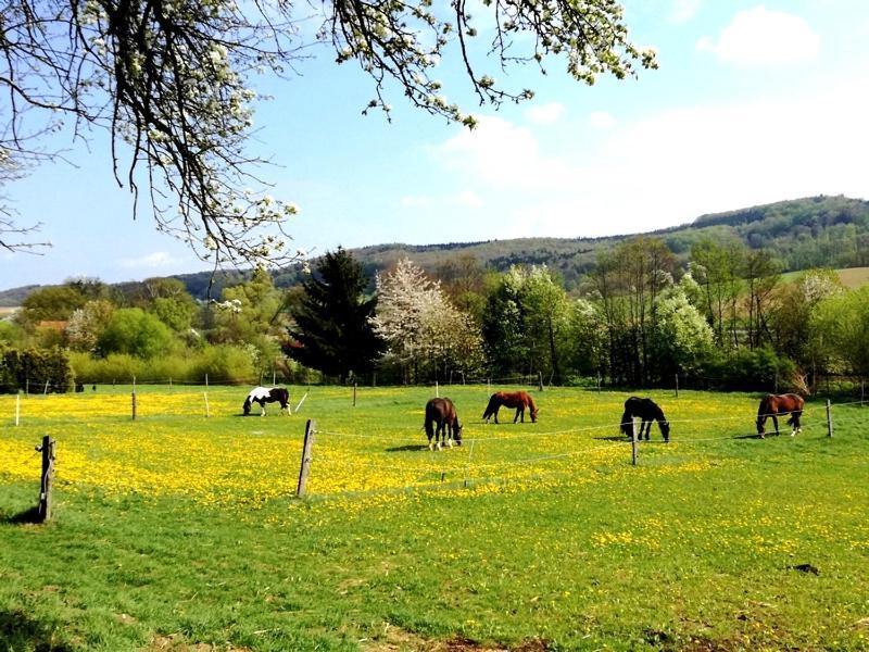 A-Sissy-Hof Villa Bischofstetten Eksteriør billede